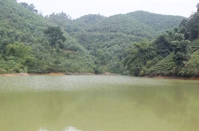 Núi rừng ở huyện Đại Từ, tỉnh Thái Nguyên