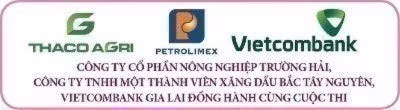 2logo-7722-2933-9071-1045-4546-1474-6395-7637-6043-3883.jpg