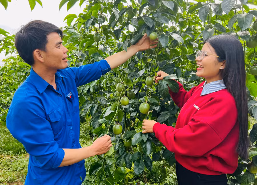 nho-su-quan-tam-cua-to-chuc-doan-anh-vo-van-thuong-co-dieu-kien-mo-rong-quy-mo-phat-trien-kinh-te-co-thu-nhap-on-dinh.jpg