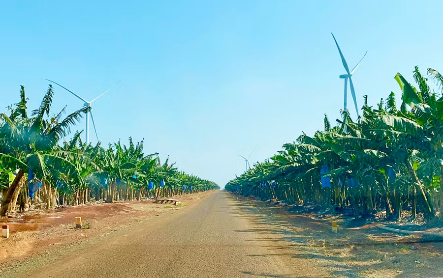 viec-phun-thuoc-bon-phan-cho-canh-dong-chuoi-cua-cong-ty-co-phan-nong-nghiep-cong-nghe-cao-hung-son-duoc-thuc-hien-bang-may-bay-khong-nguoi-lai-anh-ha-duy.jpg