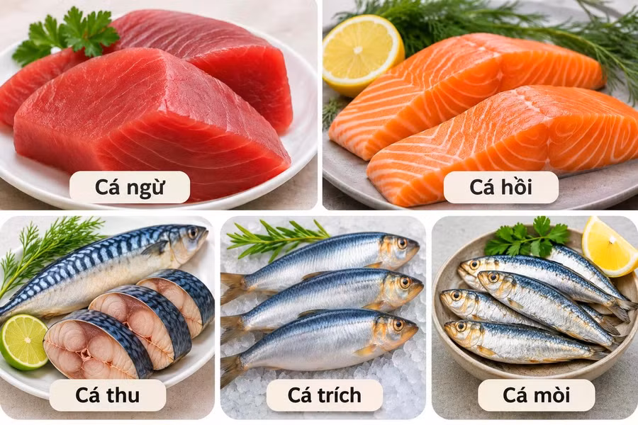 Nhiều loại cá cung cấp axit béo omega-3. Ảnh: P.H tạo từ AI