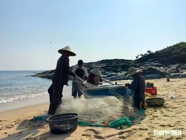 Người dân làng Gò Cỏ gỡ cá ra khỏi lưới