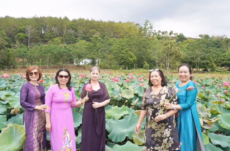 nhieu-du-khach-mac-ao-dai-khong-ngai-len-loi-giua-nhung-dam-sen-tim-kiem-cho-minh-nhung-khung-hinh-dep-nhat-anh-dong-lai.jpg