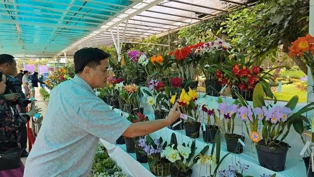 Ghi lại vẻ đẹp của hoa phong lan