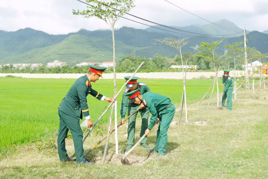 day-manh-phong-trao-trong-cay-gay-rung.jpg