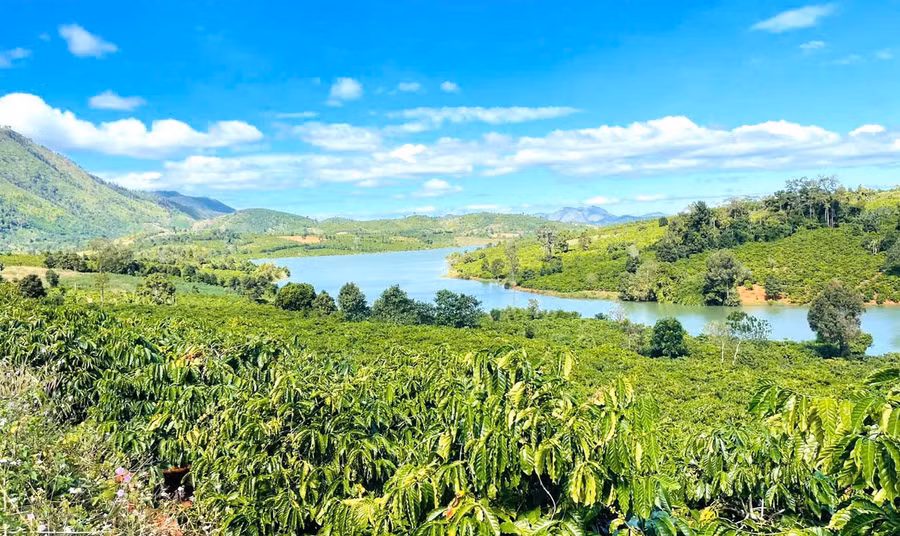 dak-mong-chuyen-minh-nho-thay-doi-tu-duy-canh-tac-ca-phe.jpg