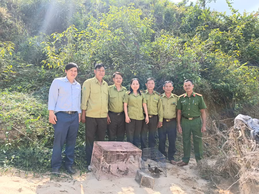siet-chat-quan-ly-bao-ve-dong-vat-hoang-da.jpg