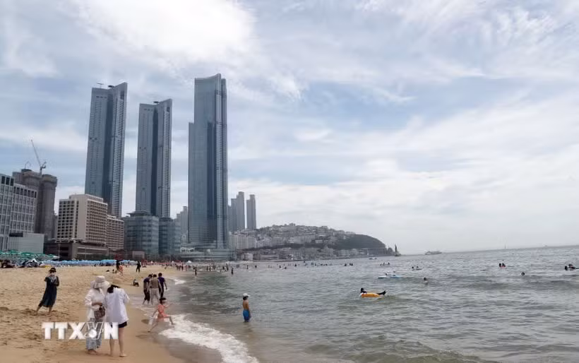 0610-busan.jpg