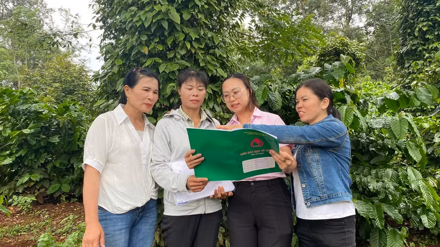 thong-qua-chuong-trinh-cho-vay-uu-san-xuat-vung-kho-khan-cac-thanh-vien-to-vay-von-thon-sur-b-xa-ia-hla-dau-tu-cham-soc-vuon-tuoc-hieu-qua.jpg