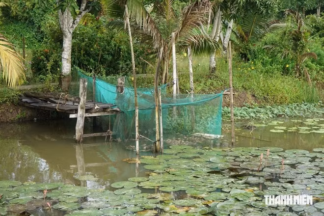 Anh Dúp tận dụng những đặc sản sẵn có ở quê để phục vụ du khách. Ảnh: Thanh Quân