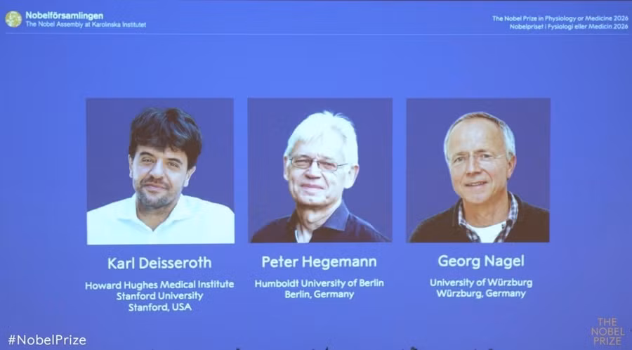 Chân dung 3 nhà khoa học giành giải Nobel Y học 2026