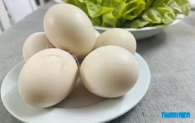 Trứng cung cấp các chất dinh dưỡng cần thiết cho cơ thể, người có rối loạn chuyển hóa nên ăn lượng phù hợp