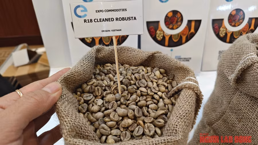 Giá cà phê diễn biến khó lường