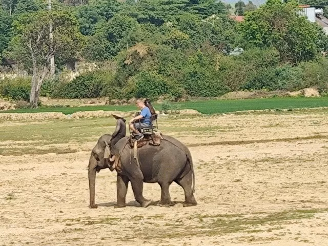 Voi chở du khách đi trên vùng đất từng được xem là "cánh đồng voi" của vua Bảo Đại