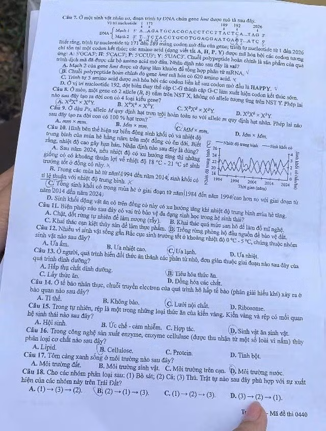 2-9186.jpg