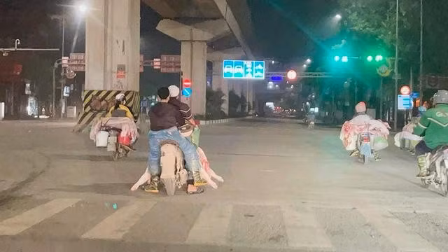 Xe máy nối đuôi nhau chở thịt lợn vào nội thành Hà Nội. Ảnh: Tuấn Minh - Đình Huy