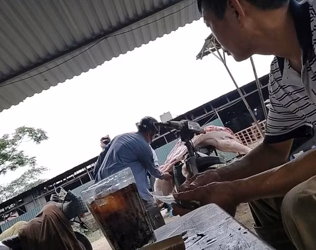 Thương lái vô tư sử dụng dấu kiểm dịch của lực lượng chức năng để đóng lên thân lợn. Ảnh: Tuấn Minh - Đình Huy