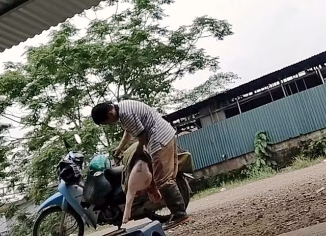 Ảnh: Tuấn Minh - Đình Huy