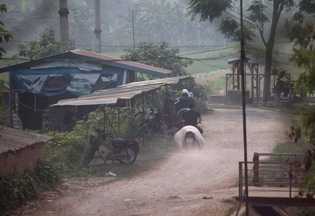 Thương lái chở thịt lợn qua khu nhà tôn để "người nhà chủ lò mổ" đóng dấu kiểm dịch và phát biên lai thu phí giết mổ. Ảnh: Tuấn Minh - Đình Huy