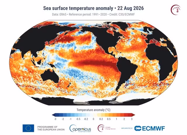 El Nino cường độ mạnh đang góp phần làm nhiệt độ mặt nước biển toàn cầu cao kỷ lục