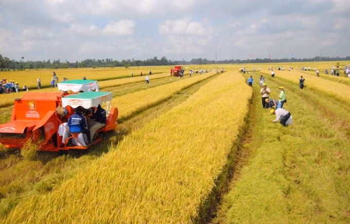uy-ban-thuong-vu-quoc-hoi-da-thong-nhat-trinh-quoc-hoi-tiep-tuc-mien-thue-su-dung-dat-nong-nghiep-den-het-2030-anh-nguon-vneconomyvn.jpg