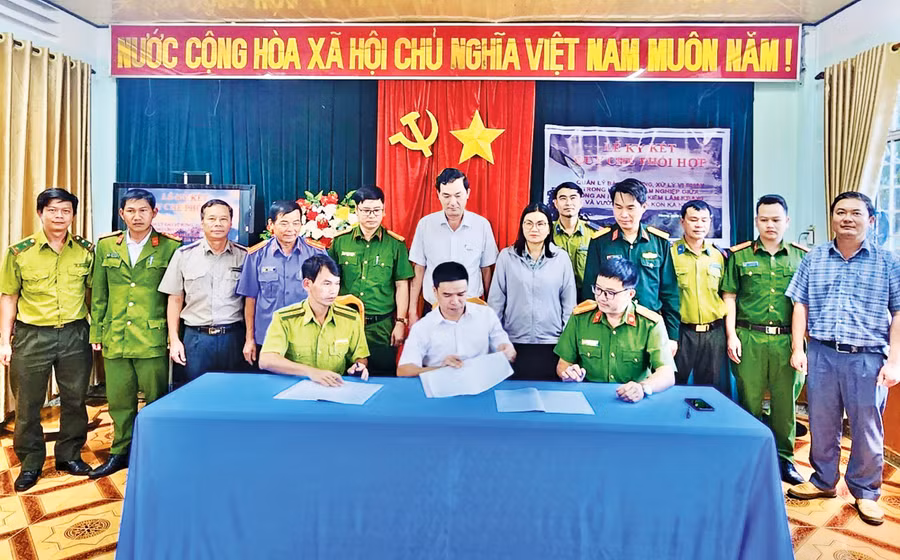 kkk1.jpg