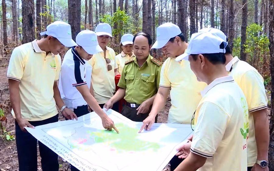 cong-ty-co-phan-tap-doan-ecotree-tien-hanh-khao-sat-va-lap-de-an-tin-chi-carbon-rung-trong-tren-dia-ban-tinh.jpg