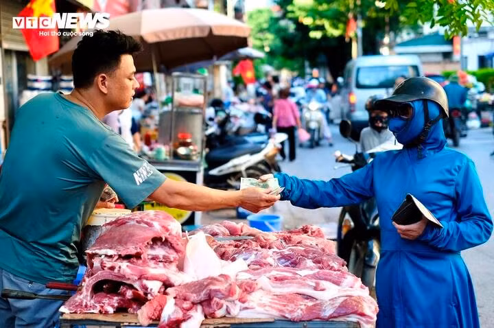 Giá heo hơi được dự báo không tăng đột biến dịp Tết Nguyên đán 2025. (Ảnh minh họa: Công Hiếu)
