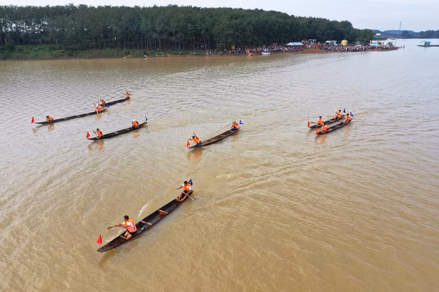 cac-tay-cheo-tren-duong-dua-xanh-anh-pham-quy.jpg