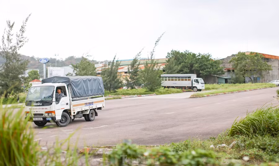 tp-tl5-1018.jpg