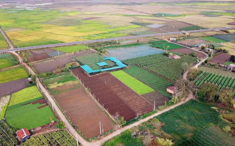 plei-wao-noi-khai-quat-thap-cham-an-phu-anh-hung-hoa-lu.jpg