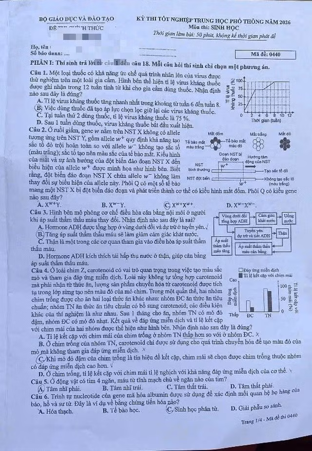 1-120.jpg