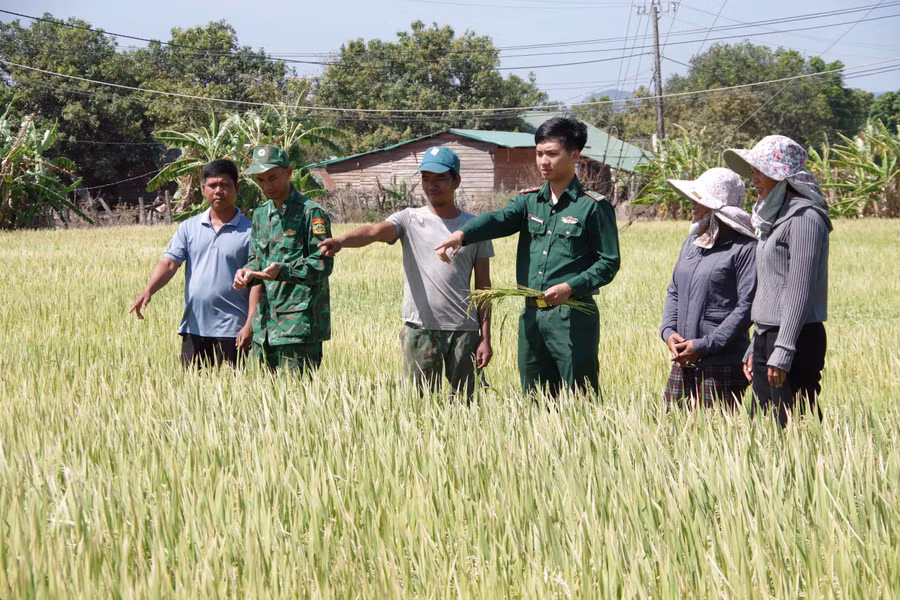 thuong-uy-nguyen-huong-dan-nguoi-dan-trong-lua-de-phat-trien-kinh-te.jpg