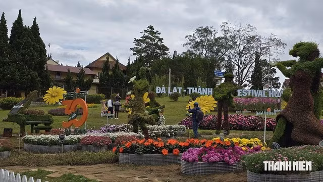 Festival Hoa Đà Lạt 2026 gia tăng yếu tố âm nhạc, nghệ thuật và giao lưu quốc tế. Ảnh: Lâm Viên