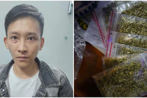 Công an xã Tây Sơn phát hiện đối tượng tàng trữ, mua bán cỏ Mỹ