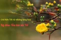 Giữ hồn Tết từ những làng hoa.