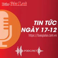 Tin tức sáng 17-12: Tăng hình phạt cho nguyên Kế toán trưởng Sở Nội vụ 