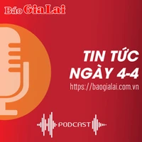 Tin tức sáng 4-4: Nhiều khu đất sau đấu giá ở Chư Sê bị bỏ hoang