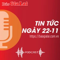 Tin tức sáng 22-11: Nhiều địa phương gặp khó trong trồng rừng