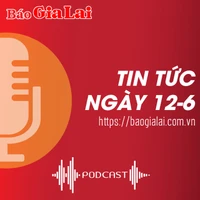 Tin tức sáng 12-6: Một cán bộ của Cục Thuế tỉnh bị tạm giữ hình sự