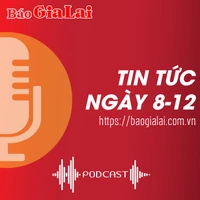 Tin tức sáng 8-12: Gia Lai tiêu hủy 5,5 tấn cá tầm vận chuyển trái phép qua biên giới