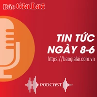 Tin tức sáng 8-6: Phó Chủ tịch UBND tỉnh Nguyễn Thị Thanh Lịch được giao điều hành toàn bộ công việc UBND tỉnh