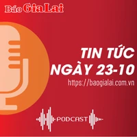 Tin tức sáng 23-10: Ayun Pa nan giải bài toán trồng rừng