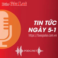 Tin tức sáng 5-1: Kiến nghị kiểm điểm trách nhiệm giám đốc Trung tâm Y tế Pleiku qua các thời kỳ