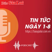 Tin tức sáng 1-8: TP. Pleiku trả lời việc Báo Gia Lai phản ánh về tình trạng kinh doanh chợ tự phát bên hông chợ Thắng Lợi 