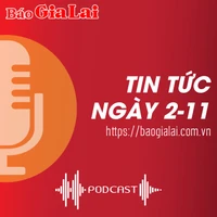 Tin tức sáng 2-11: Vi phạm hoạt động thương mại điện tử, 1 doanh nghiệp bị 30 triệu đồng