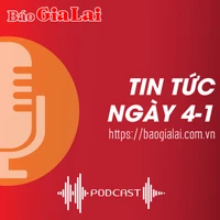 Tin tức sáng 4 tháng 1: Krông Pa yêu cầu Công ty cổ phần Xây dựng Tây Nguyên Gia Lai dừng vận chuyển cát 