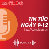 Tin tức sáng 9-12: Bắt "nóng" đối tượng đột nhập nhà dân trộm cắp 402 triệu đồng