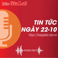 Tin tức sáng 22-10 : Quốc lộ 19 thi công ì ạch, gây mất an toàn giao thông 