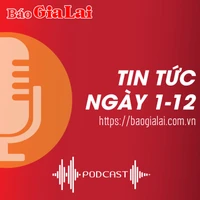 Tin tức sáng 1-12: Bổ nhiệm ông Trương Thanh Tùng giữ chức Phó Giám đốc Sở Tài chính